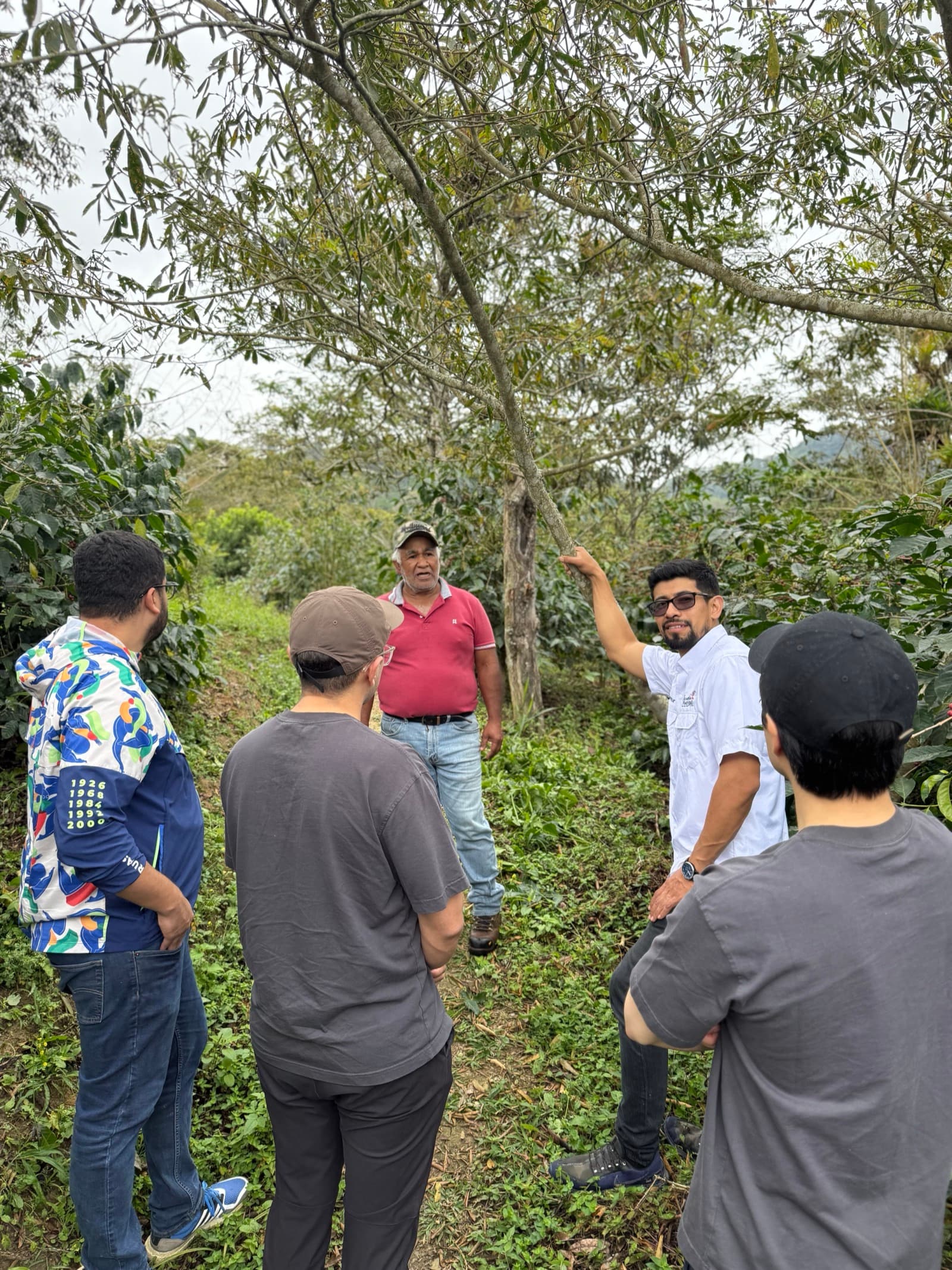 Team exploring the coffee farm