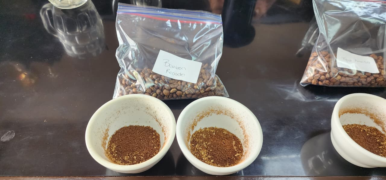 Bourbon Rosado cupping with freshly ground coffee bowls