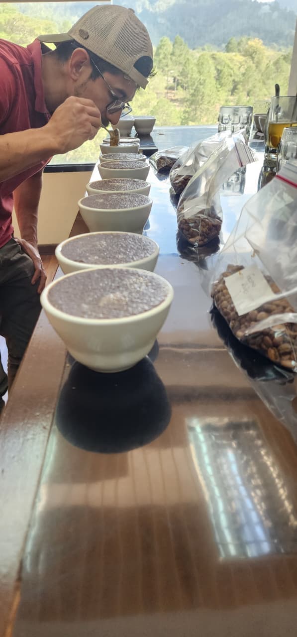 Coffee cupping table with brewed cups and sample bags