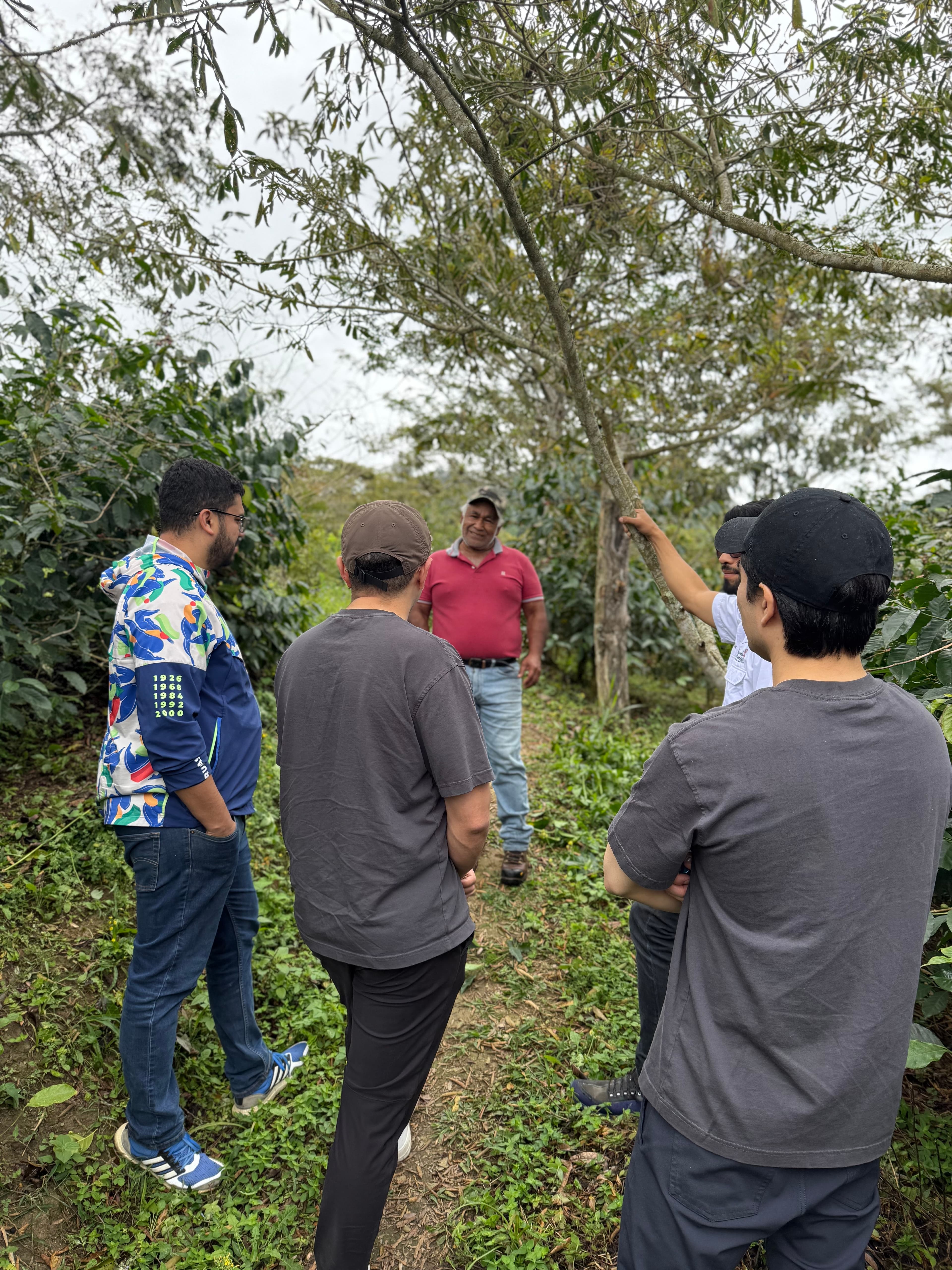 Terra Taza team visiting producers at the farm