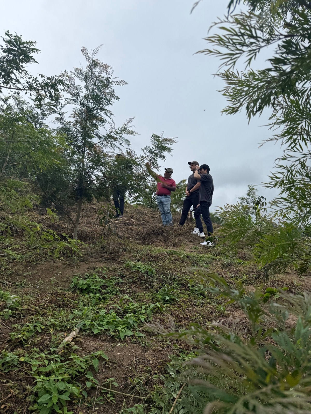 Farm visit with producers
