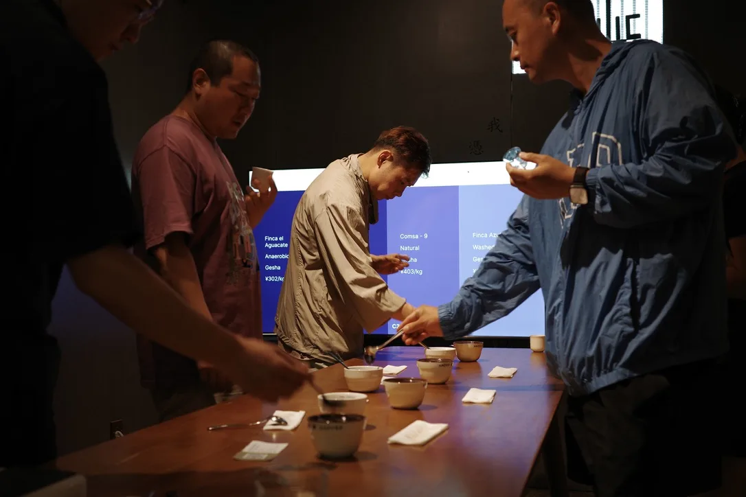 El Arte de la Catación: Cómo Garantizamos que Cada Grano Cumple con Nuestro Estándar - photo 6