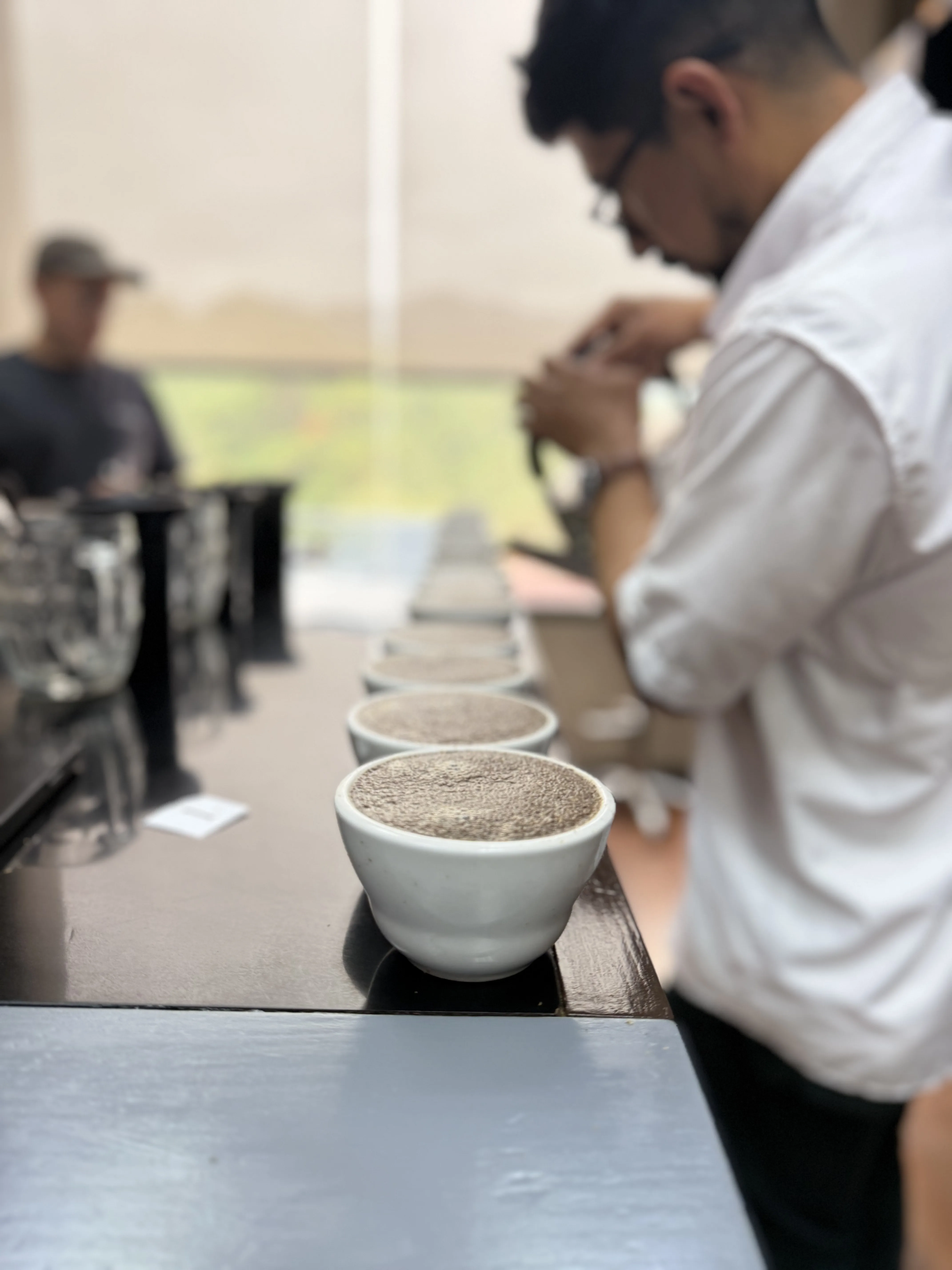 El Arte de la Catación: Cómo Garantizamos que Cada Grano Cumple con Nuestro Estándar - photo 16